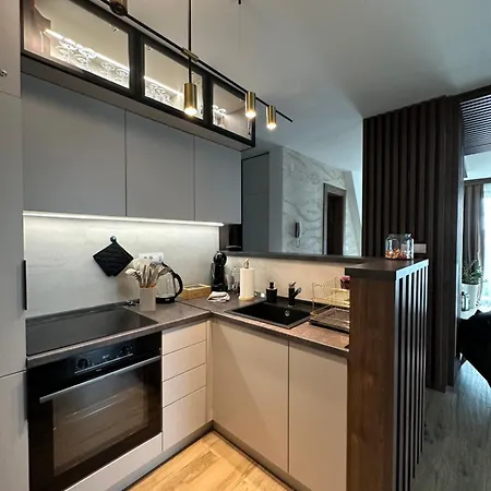 아파트 Borovi Premium Wellness&spa *