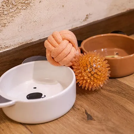 Borovi Premium Wellness&spa 아파트 Divčibare